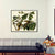 INVIN ART Framed Canvas Giclee Print Yellow-billed_Cuckoo by John James Audubon Wall Art Living Room Home Office Decorations