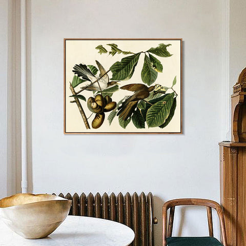 INVIN ART Framed Canvas Giclee Print Yellow-billed_Cuckoo by John James Audubon Wall Art Living Room Home Office Decorations