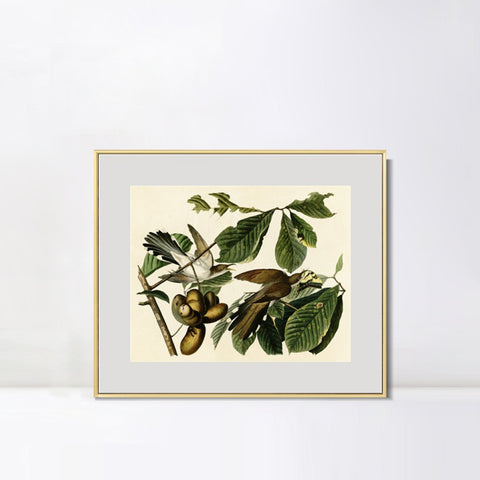 INVIN ART Metal Framed Canvas Giclee Print Yellow-billed_Cuckoo by John James Audubon Wall Art Living Room Home Office Decorations