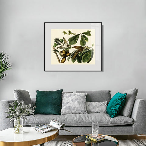 INVIN ART Metal Framed Canvas Giclee Print Yellow-billed_Cuckoo by John James Audubon Wall Art Living Room Home Office Decorations