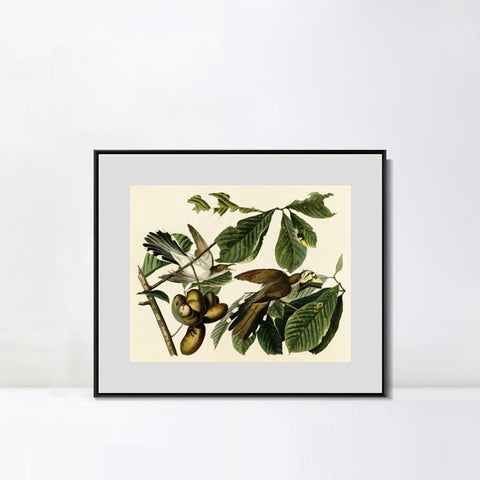 INVIN ART Metal Framed Canvas Giclee Print Yellow-billed_Cuckoo by John James Audubon Wall Art Living Room Home Office Decorations
