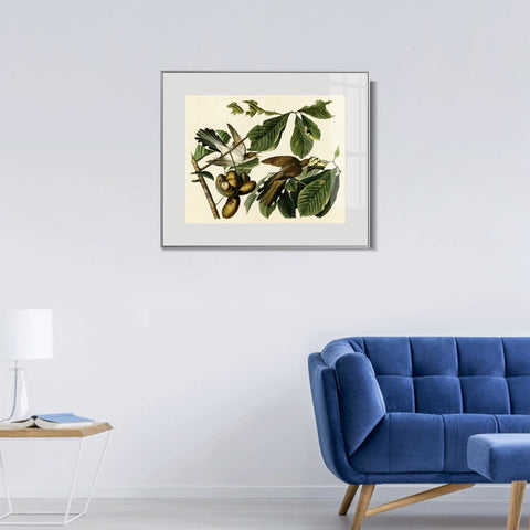 INVIN ART Metal Framed Canvas Giclee Print Yellow-billed_Cuckoo by John James Audubon Wall Art Living Room Home Office Decorations