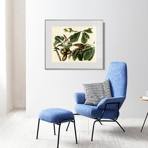 INVIN ART Metal Framed Canvas Giclee Print Yellow-billed_Cuckoo by John James Audubon Wall Art Living Room Home Office Decorations