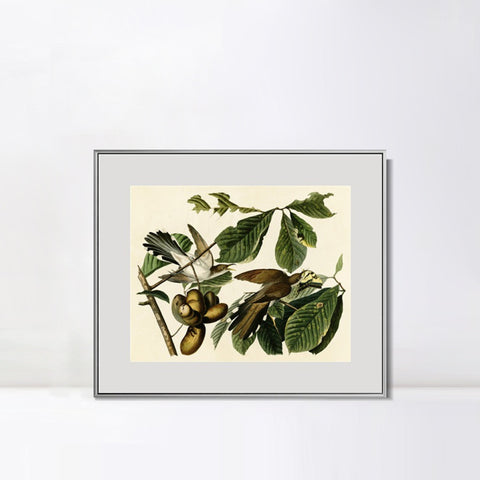 INVIN ART Metal Framed Canvas Giclee Print Yellow-billed_Cuckoo by John James Audubon Wall Art Living Room Home Office Decorations