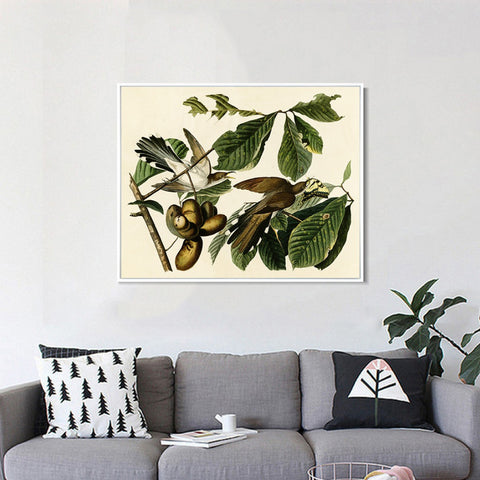 INVIN ART Framed Canvas Giclee Print Yellow-billed_Cuckoo by John James Audubon Wall Art Living Room Home Office Decorations