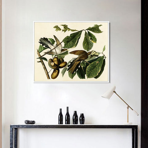 INVIN ART Framed Canvas Giclee Print Yellow-billed_Cuckoo by John James Audubon Wall Art Living Room Home Office Decorations