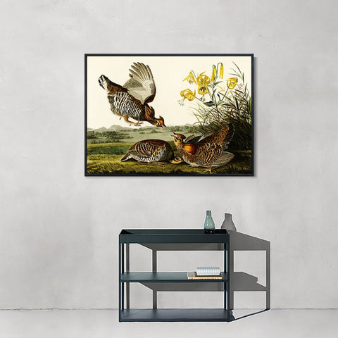 INVIN ART Framed Canvas Giclee Print Pinnated_Grous by John James Audubon Wall Art Living Room Home Office Decorations