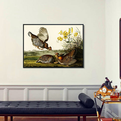 INVIN ART Framed Canvas Giclee Print Pinnated_Grous by John James Audubon Wall Art Living Room Home Office Decorations