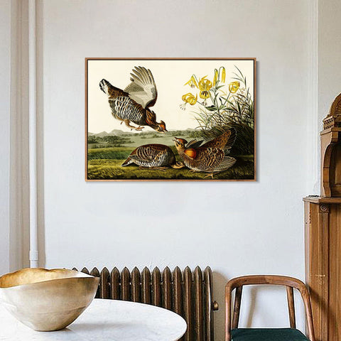 INVIN ART Framed Canvas Giclee Print Pinnated_Grous by John James Audubon Wall Art Living Room Home Office Decorations