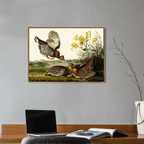 INVIN ART Framed Canvas Giclee Print Pinnated_Grous by John James Audubon Wall Art Living Room Home Office Decorations