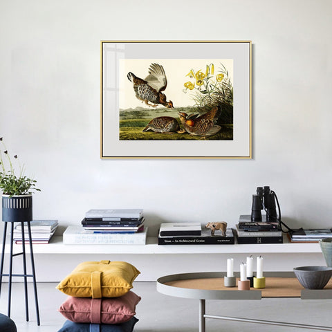 INVIN ART Metal Framed Canvas Giclee Print Pinnated_Grous by John James Audubon Wall Art Living Room Home Office Decorations