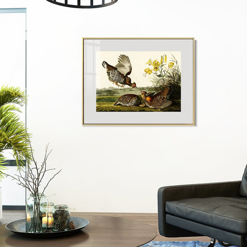 INVIN ART Metal Framed Canvas Giclee Print Pinnated_Grous by John James Audubon Wall Art Living Room Home Office Decorations