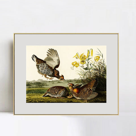 INVIN ART Metal Framed Canvas Giclee Print Pinnated_Grous by John James Audubon Wall Art Living Room Home Office Decorations