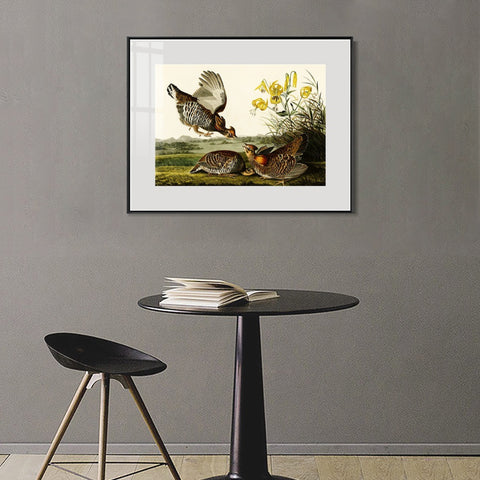 INVIN ART Metal Framed Canvas Giclee Print Pinnated_Grous by John James Audubon Wall Art Living Room Home Office Decorations