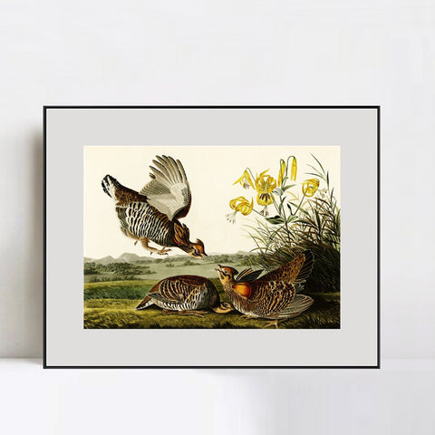 INVIN ART Metal Framed Canvas Giclee Print Pinnated_Grous by John James Audubon Wall Art Living Room Home Office Decorations