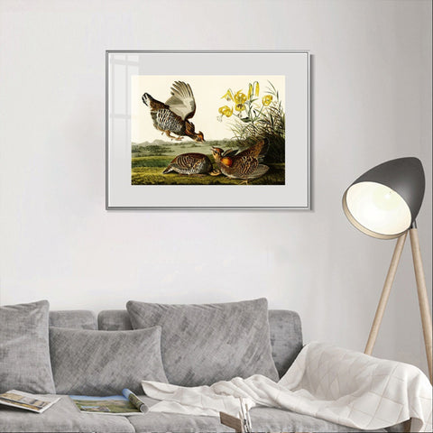 INVIN ART Metal Framed Canvas Giclee Print Pinnated_Grous by John James Audubon Wall Art Living Room Home Office Decorations