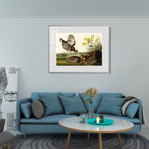 INVIN ART Metal Framed Canvas Giclee Print Pinnated_Grous by John James Audubon Wall Art Living Room Home Office Decorations