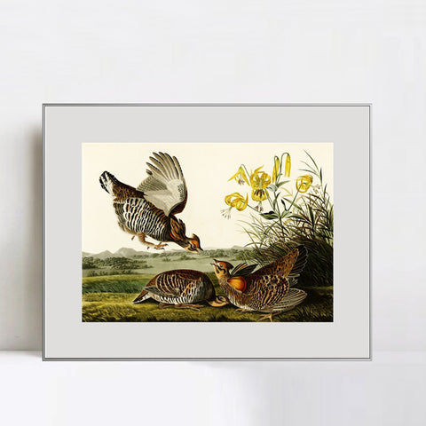 INVIN ART Metal Framed Canvas Giclee Print Pinnated_Grous by John James Audubon Wall Art Living Room Home Office Decorations