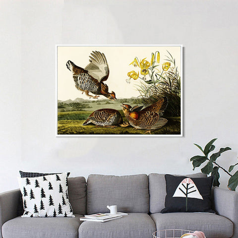 INVIN ART Framed Canvas Giclee Print Pinnated_Grous by John James Audubon Wall Art Living Room Home Office Decorations