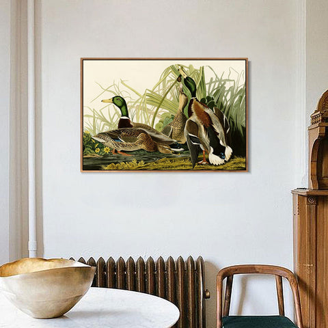 INVIN ART Framed Canvas Giclee Print Mallard Duck by John James Audubon Wall Art Living Room Home Office Decorations