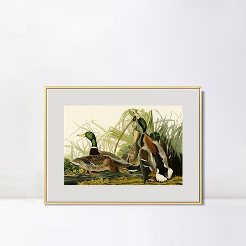 INVIN ART Metal Framed Canvas Giclee Print Mallard Duck by John James Audubon Wall Art Living Room Home Office Decorations