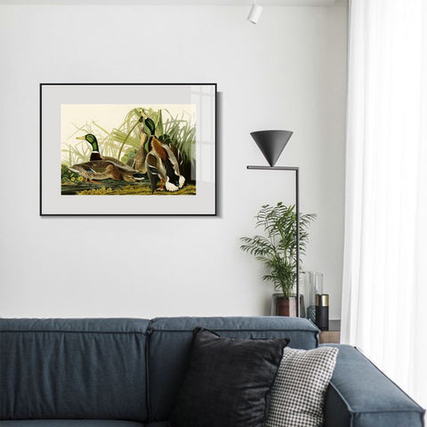 INVIN ART Metal Framed Canvas Giclee Print Mallard Duck by John James Audubon Wall Art Living Room Home Office Decorations