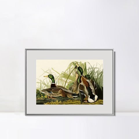 INVIN ART Metal Framed Canvas Giclee Print Mallard Duck by John James Audubon Wall Art Living Room Home Office Decorations