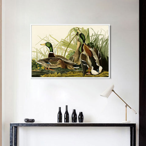 INVIN ART Framed Canvas Giclee Print Mallard Duck by John James Audubon Wall Art Living Room Home Office Decorations