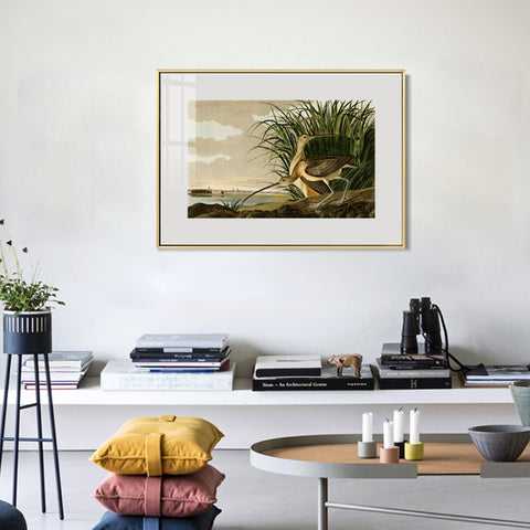INVIN ART Metal Framed Canvas Giclee Print Long-billed_Curlew by John James Audubon Wall Art Living Room Home Office Decorations