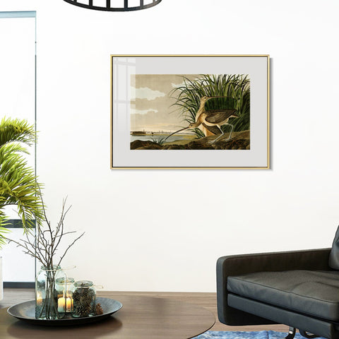 INVIN ART Metal Framed Canvas Giclee Print Long-billed_Curlew by John James Audubon Wall Art Living Room Home Office Decorations