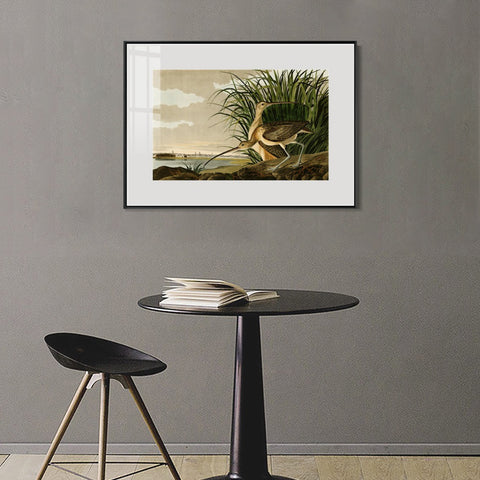 INVIN ART Metal Framed Canvas Giclee Print Long-billed_Curlew by John James Audubon Wall Art Living Room Home Office Decorations