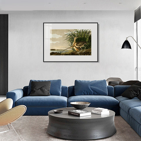 INVIN ART Metal Framed Canvas Giclee Print Long-billed_Curlew by John James Audubon Wall Art Living Room Home Office Decorations