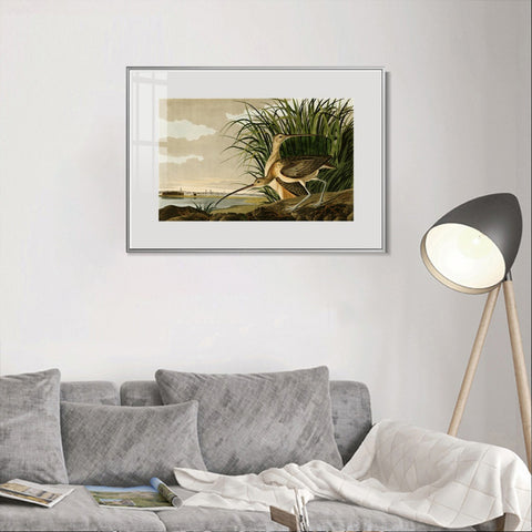 INVIN ART Metal Framed Canvas Giclee Print Long-billed_Curlew by John James Audubon Wall Art Living Room Home Office Decorations
