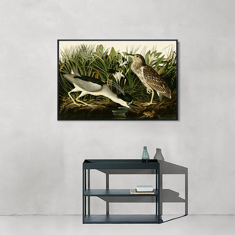 INVIN ART Framed Canvas Giclee Print Night Heron or Qua bird by John James Audubon Wall Art Living Room Home Office Decorations