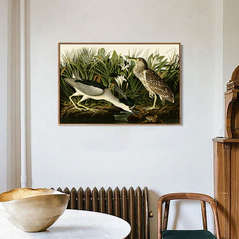 INVIN ART Framed Canvas Giclee Print Night Heron or Qua bird by John James Audubon Wall Art Living Room Home Office Decorations