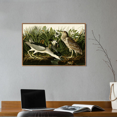 INVIN ART Framed Canvas Giclee Print Night Heron or Qua bird by John James Audubon Wall Art Living Room Home Office Decorations