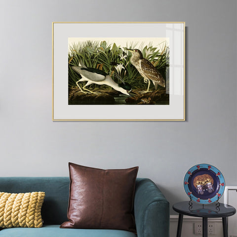 INVIN ART Metal Framed Canvas Giclee Print Night Heron or Qua bird by John James Audubon Wall Art Living Room Home Office Decorations