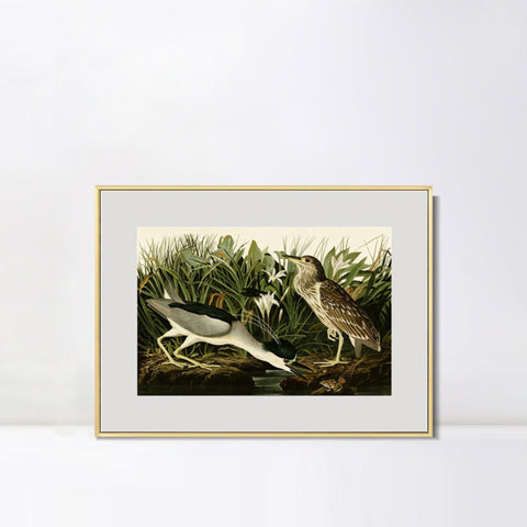 INVIN ART Metal Framed Canvas Giclee Print Night Heron or Qua bird by John James Audubon Wall Art Living Room Home Office Decorations