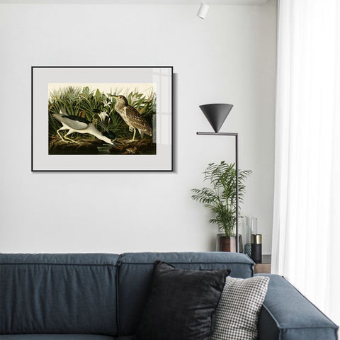INVIN ART Metal Framed Canvas Giclee Print Night Heron or Qua bird by John James Audubon Wall Art Living Room Home Office Decorations