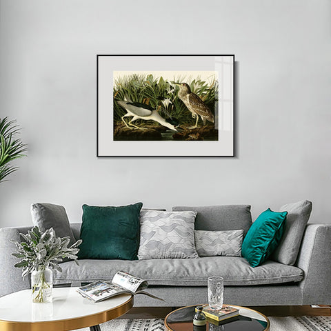 INVIN ART Metal Framed Canvas Giclee Print Night Heron or Qua bird by John James Audubon Wall Art Living Room Home Office Decorations