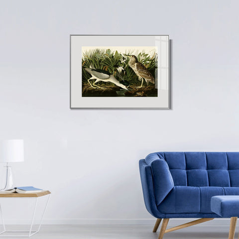 INVIN ART Metal Framed Canvas Giclee Print Night Heron or Qua bird by John James Audubon Wall Art Living Room Home Office Decorations