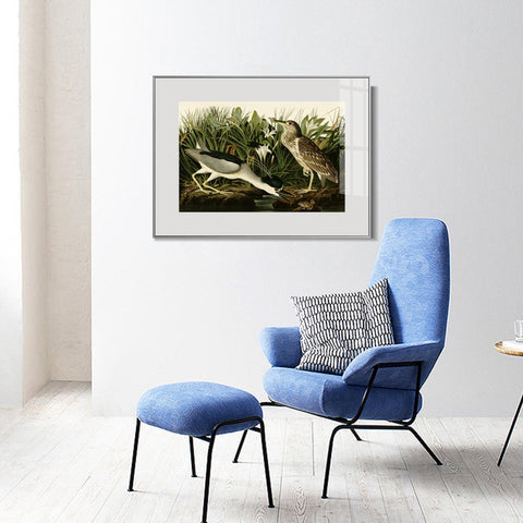 INVIN ART Metal Framed Canvas Giclee Print Night Heron or Qua bird by John James Audubon Wall Art Living Room Home Office Decorations