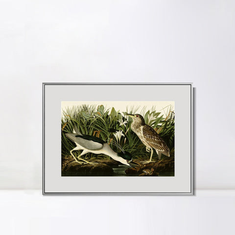 INVIN ART Metal Framed Canvas Giclee Print Night Heron or Qua bird by John James Audubon Wall Art Living Room Home Office Decorations