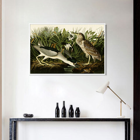 INVIN ART Framed Canvas Giclee Print Night Heron or Qua bird by John James Audubon Wall Art Living Room Home Office Decorations
