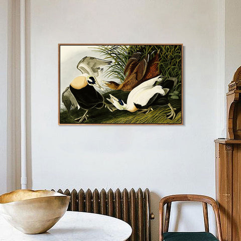 INVIN ART Framed Canvas Giclee Print Eider Duck by John James Audubon Wall Art Living Room Home Office Decorations