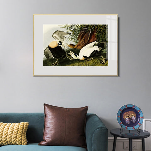 INVIN ART Metal Framed Canvas Giclee Print Eider Duck by John James Audubon Wall Art Living Room Home Office Decorations