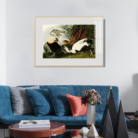 INVIN ART Metal Framed Canvas Giclee Print Eider Duck by John James Audubon Wall Art Living Room Home Office Decorations