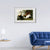 INVIN ART Metal Framed Canvas Giclee Print Eider Duck by John James Audubon Wall Art Living Room Home Office Decorations
