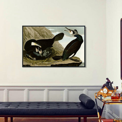 INVIN ART Framed Canvas Giclee Print Common Cormorant by John James Audubon Wall Art Living Room Home Office Decorations