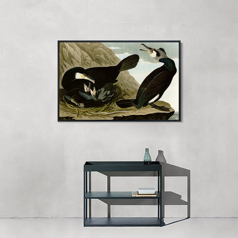 INVIN ART Framed Canvas Giclee Print Common Cormorant by John James Audubon Wall Art Living Room Home Office Decorations